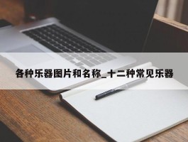 各种乐器图片和名称_十二种常见乐器