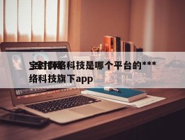 宝付网络科技是哪个平台的***_宝付网络科技旗下app
