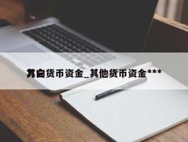 其它货币资金_其他货币资金***方向