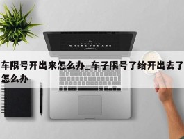 车限号开出来怎么办_车子限号了给开出去了怎么办