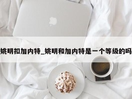 姚明扣加内特_姚明和加内特是一个等级的吗