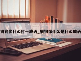 猫狗像什么打一成语_猫狗像什么是什么成语