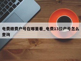 电费缴费户号在哪里看_电费13位户号怎么查询
