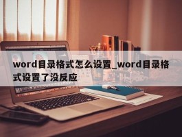 word目录格式怎么设置_word目录格式设置了没反应