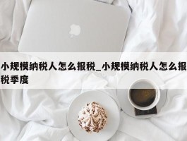 小规模纳税人怎么报税_小规模纳税人怎么报税季度