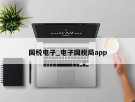 国税电子_电子国税局app