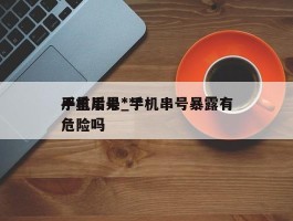 手机串号***严重后果_手机串号暴露有危险吗