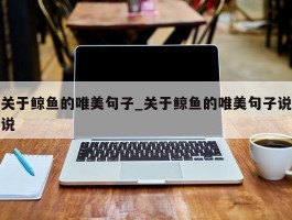 关于鲸鱼的唯美句子_关于鲸鱼的唯美句子说说