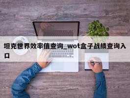 坦克世界效率值查询_wot盒子战绩查询入口
