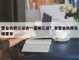 营业执照三证合一是哪三证?_审营业执照在哪里审
