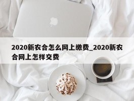 2020新农合怎么网上缴费_2020新农合网上怎样交费