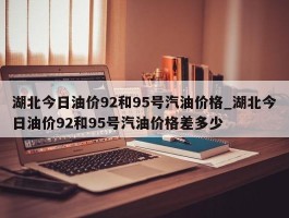 湖北今日油价92和95号汽油价格_湖北今日油价92和95号汽油价格差多少