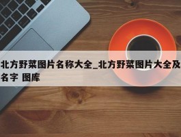 北方野菜图片名称大全_北方野菜图片大全及名字 图库