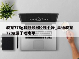 骁龙778g和麒麟980哪个好_高通骁龙778g属于啥水平