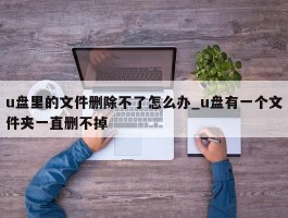 u盘里的文件删除不了怎么办_u盘有一个文件夹一直删不掉