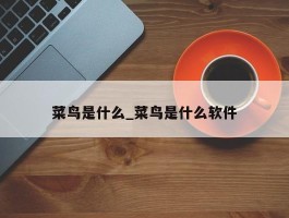 菜鸟是什么_菜鸟是什么软件