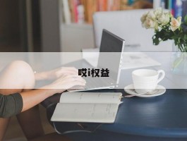 哎i权益