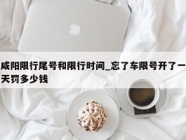 咸阳限行尾号和限行时间_忘了车限号开了一天罚多少钱