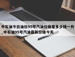 中石油今日油价95号汽油价格是多少钱一升_中石油95号汽油最新价格今天