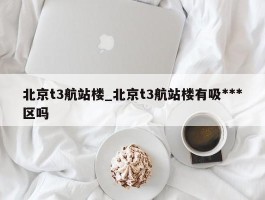 北京t3航站楼_北京t3航站楼有吸***区吗