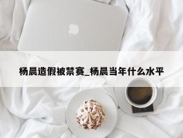 杨晨造假被禁赛_杨晨当年什么水平