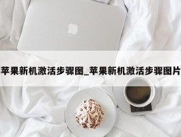 苹果新机激活步骤图_苹果新机激活步骤图片