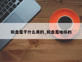 税盘是干什么用的_税盘是啥样的