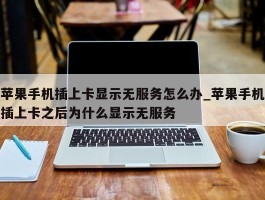 苹果手机插上卡显示无服务怎么办_苹果手机插上卡之后为什么显示无服务