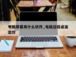 ***电脑屏幕用什么软件_电脑远程桌面监控