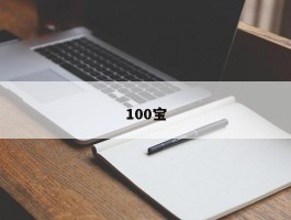 100宝