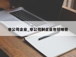 非公司企业_非公司制企业包括哪些