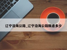 辽宁沿海公路_辽宁沿海公路限速多少