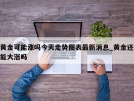黄金可能涨吗今天走势图表最新消息_黄金还能大涨吗