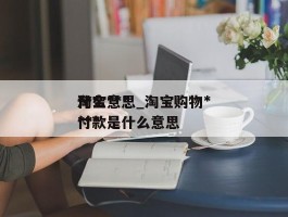 淘宝******什么意思_淘宝购物******付款是什么意思