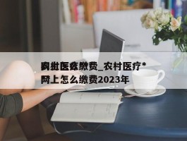 农村医疗***网上怎么缴费_农村医疗***网上怎么缴费2023年