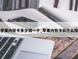苹果内存卡多少钱一个_苹果内存卡长什么样