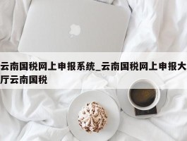 云南国税网上申报系统_云南国税网上申报大厅云南国税