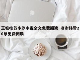 王铁柱苏小汐小说全文免费阅读_老谢韩雪20章免费阅读