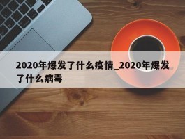 2020年爆发了什么疫情_2020年爆发了什么病毒